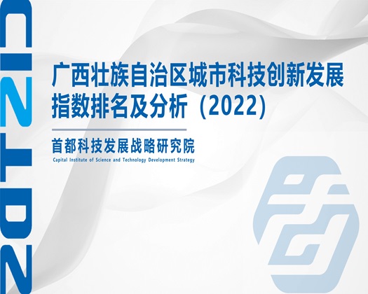 啊啊啊日死你好舒服视频【成果发布】广西壮族自治区城市科技创新发展指数排名及分析（2022）